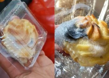 Dapur SPPG Tongauna Utara Ditutup Sementara Buntut Kue Sus MBG Berjamur di Sejumlah Wilayah Konawe